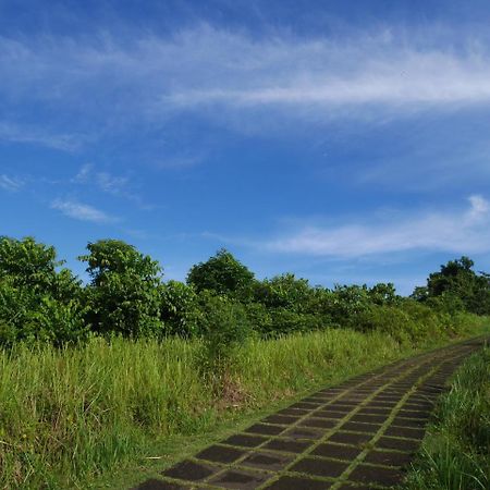 Sari Villa Ubud Экстерьер фото