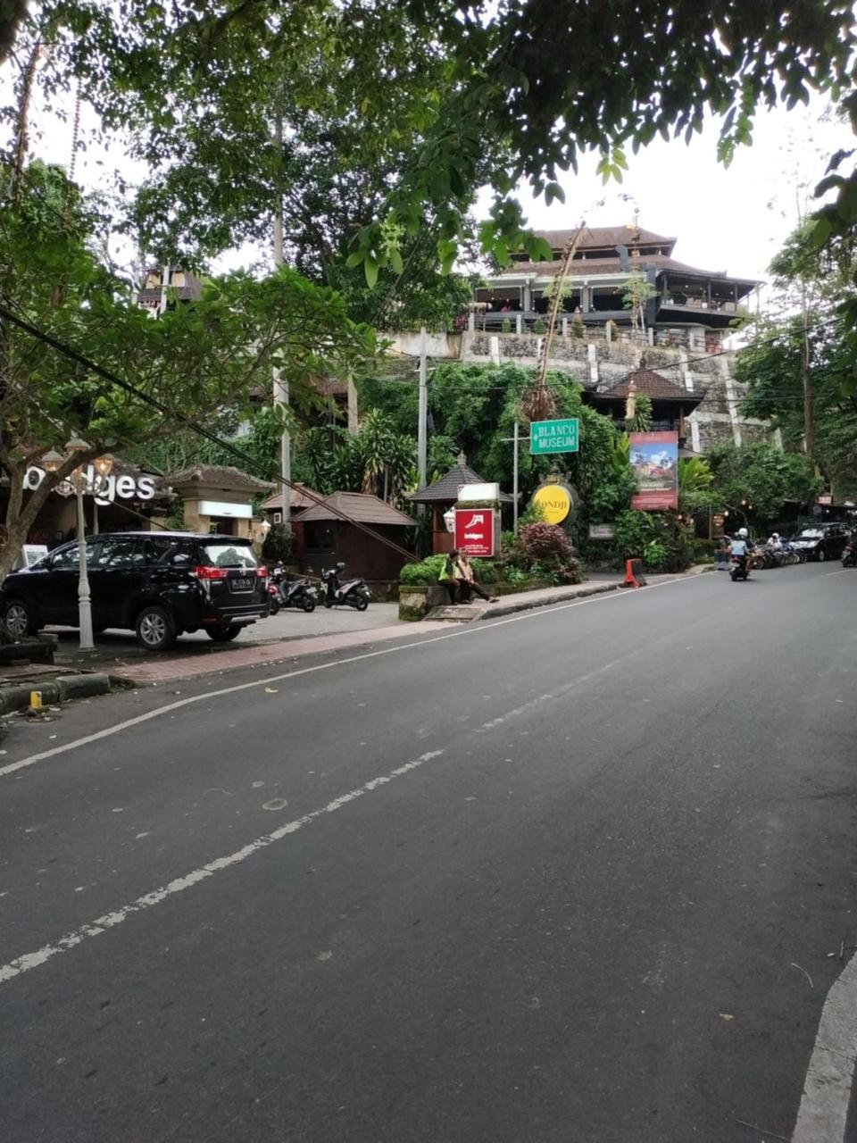 Sari Villa Ubud Экстерьер фото