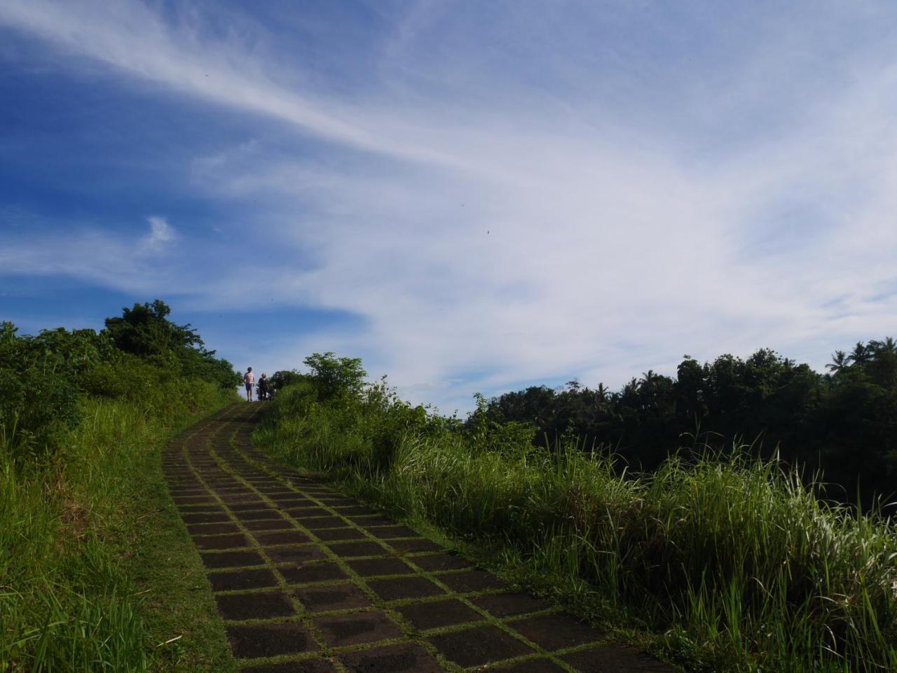 Sari Villa Ubud Экстерьер фото